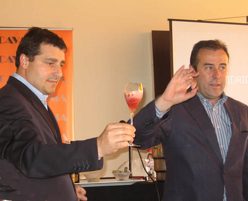 cava solido torello celler can roca