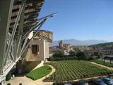 Viñedos a los pies de la bodega