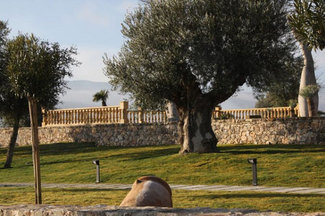 Parte del jardín exterior