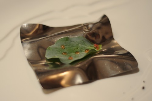 Restaurante El Bulli (CERRADO) Hoja de ostra con rocío de vinagre