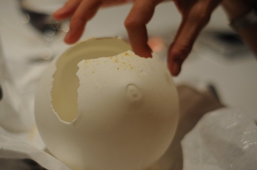 El Bulli (CERRADO) Helado de coco con curry
