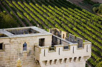 Viñedos en Olite