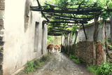 Parral en Seroiro
