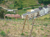 Viñedo_sobre_cangas_thumb