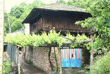 Horreo y parra