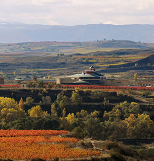 Vista-del-museo-de-la-cultu_logo
