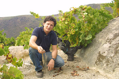 Rafael-Palacios-en-viña-Valdeorras