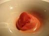 16._nuvolet_de_azahar_con_natillas_y_sorbete_de_naranja_sanguina_thumb