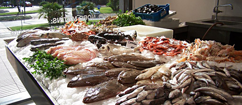Bonito 33 en Gavà Mar