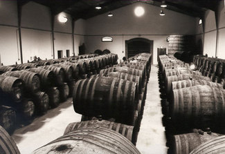 Sala de barricas