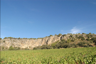 Vistadelviñedo_logo