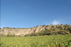 Vistadelviñedo_thumb