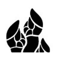 Logo Rías Gallegas