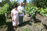 Matrimonio Falcone viticultores de Paysandú