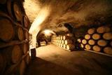 Bodega centenaria en Juanicó
