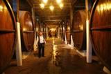Daniel Mutio de bodegas Santa Rosa