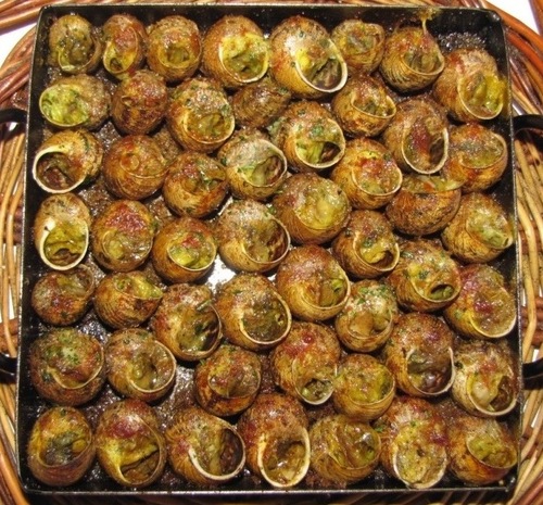 El Tupí de l'Horta Cargols a la llauna