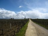 Un paseo por las nubes