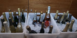 Champagnes catados