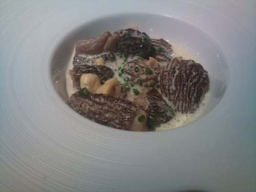 ARC - Arrop Ricard Camarena (CERRADO) 