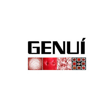 Genui en Catarroja 