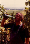 Vino_alsaciano_thumb