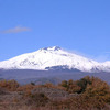 Vinos_sicilia_etna_thumb