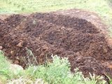 Elaboración de compost