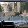 Restaurantexdfverema2_thumb