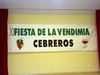 XI Fiesta del Vendimia Cebreros