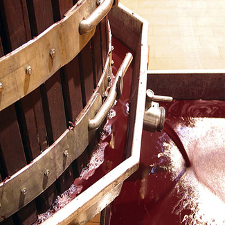 El fruto hecho vino