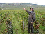 Los campos de Vosne-Romanée