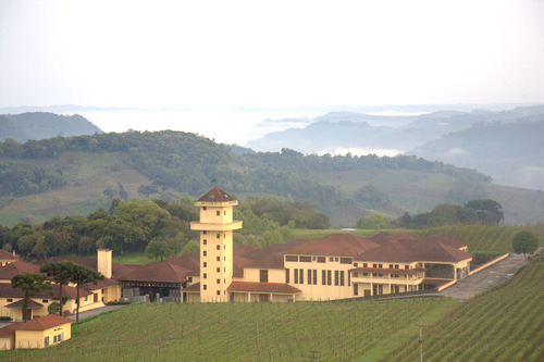 Bodegas Miolo
