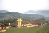 Bodegas Miolo