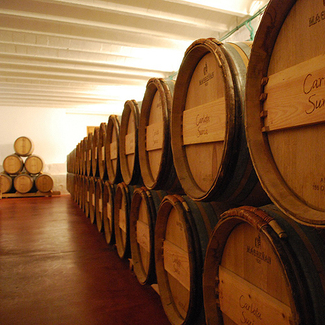 Sala de barricas