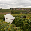 Vinos_chablis_thumb