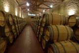 Dentro de la bodega Muga