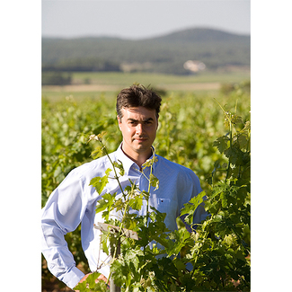 Rafael Cambra