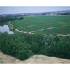 Vista_aerea_viñedo_thumb