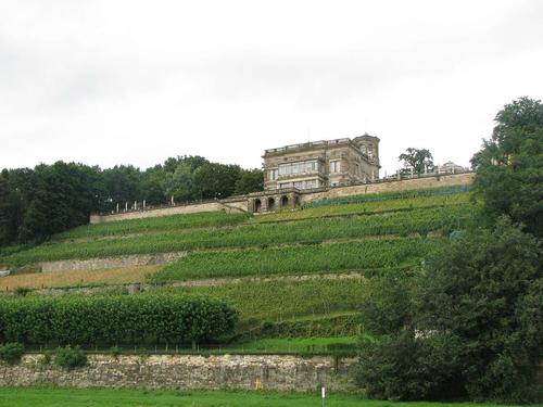 Viñedos en las laderas del Elba, con su 