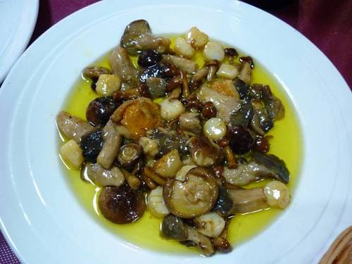 Salteado de Boletus con Vieiras al aceite de Trufa Blanca