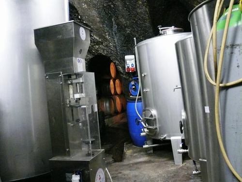 Depositos de vinificacion.