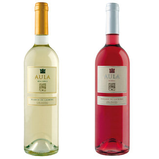 Aula Blanco y Aula Rosado