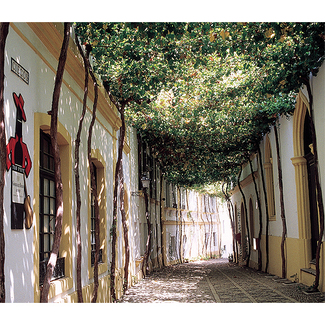 Calle los ciegos