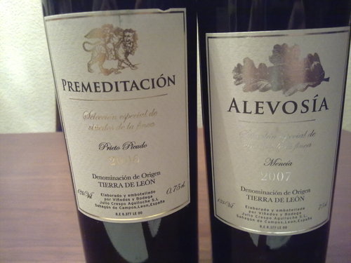 ¿Los has probado?