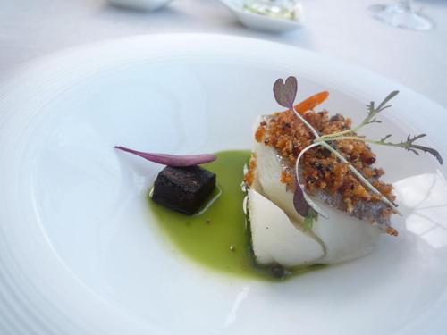 Annua en San Vicente de la Barquera Racion escasa