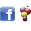 Facebook-verema_thumb
