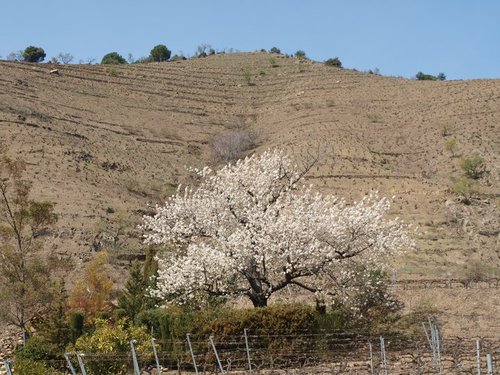 Un día maravilloso, un sol espectacular. Gracias a todos.