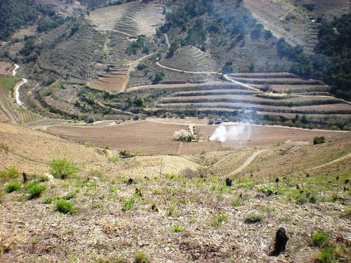 Desde la cima de la Tena, una foto de Juan Massana  (Wine at catalonia). La humareda de la fogata