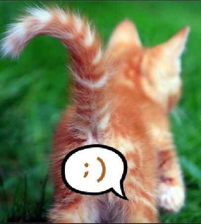 Cojón de gato naranjastramainer